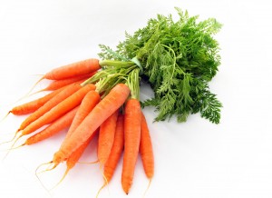 carrot