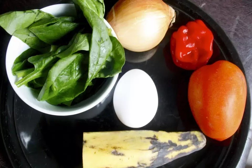 14719658528082086346492