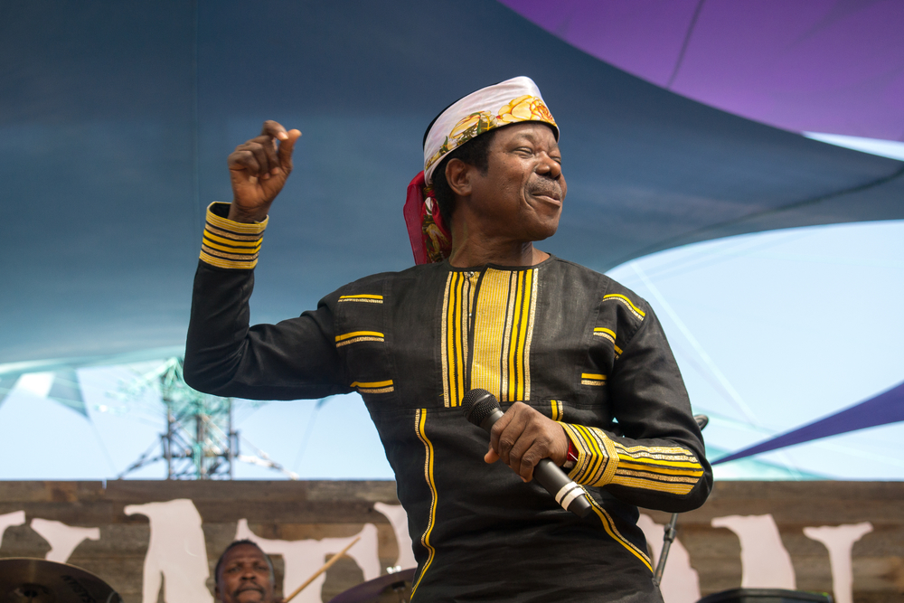 031895-kingsunnyade