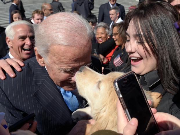 joe-biden-dog-biden