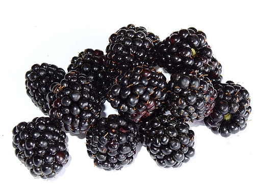 Black Raspberry