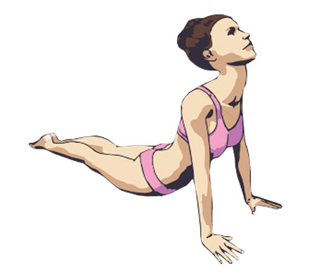 Upward Dog