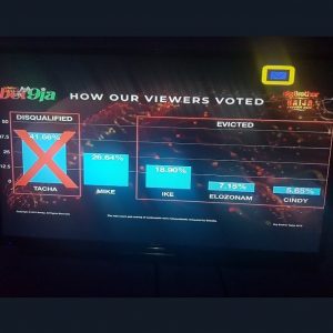 BBNaija: Tacha beats Mike, Ike others to grab highest votes