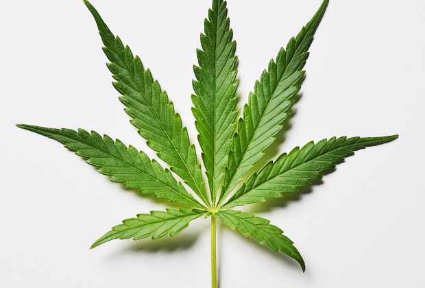 Is Nigeria Ready for Medical Marijuana