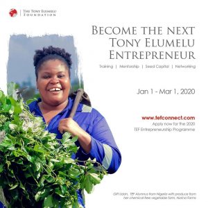Tony Elumelu Foundation program