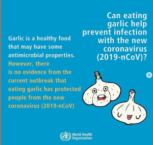 No evidence garlic and rising of nose with saline can prevent coronavirus 