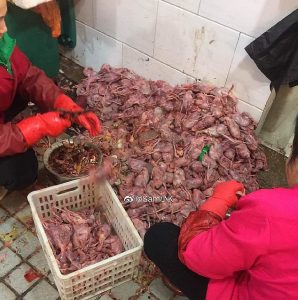 China ban the eating and trading of all wild animals 