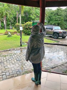 This is Oddbod and the City – My Lagos Adventure