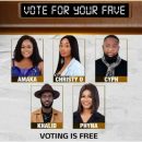 BBNaija S7: How to vote for favorite housemate