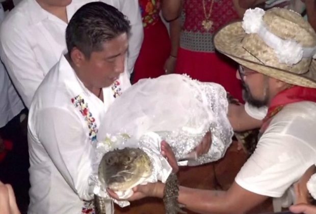Mexican mayor weds crocodile in harvest ritual