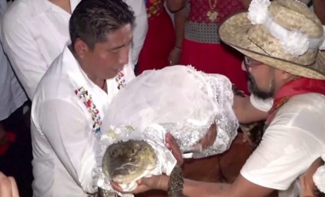Mexican mayor weds crocodile in harvest ritual
