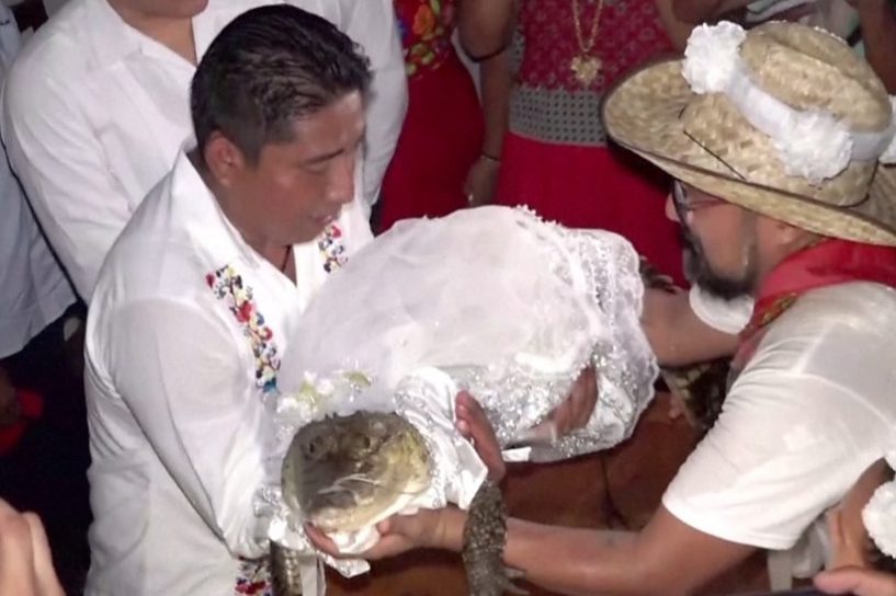 Mexican mayor weds crocodile in harvest ritual